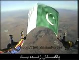 پاکستانی افواج -