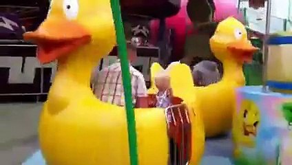 New 2016 Funny Things - Funny Videos - Roller Coaster Accident Crazy Duck