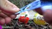 surprise eggs toys 3 Surprise Eggs Kinder Joy Minions Disney Frozen Toys | SEUT #151 frozen