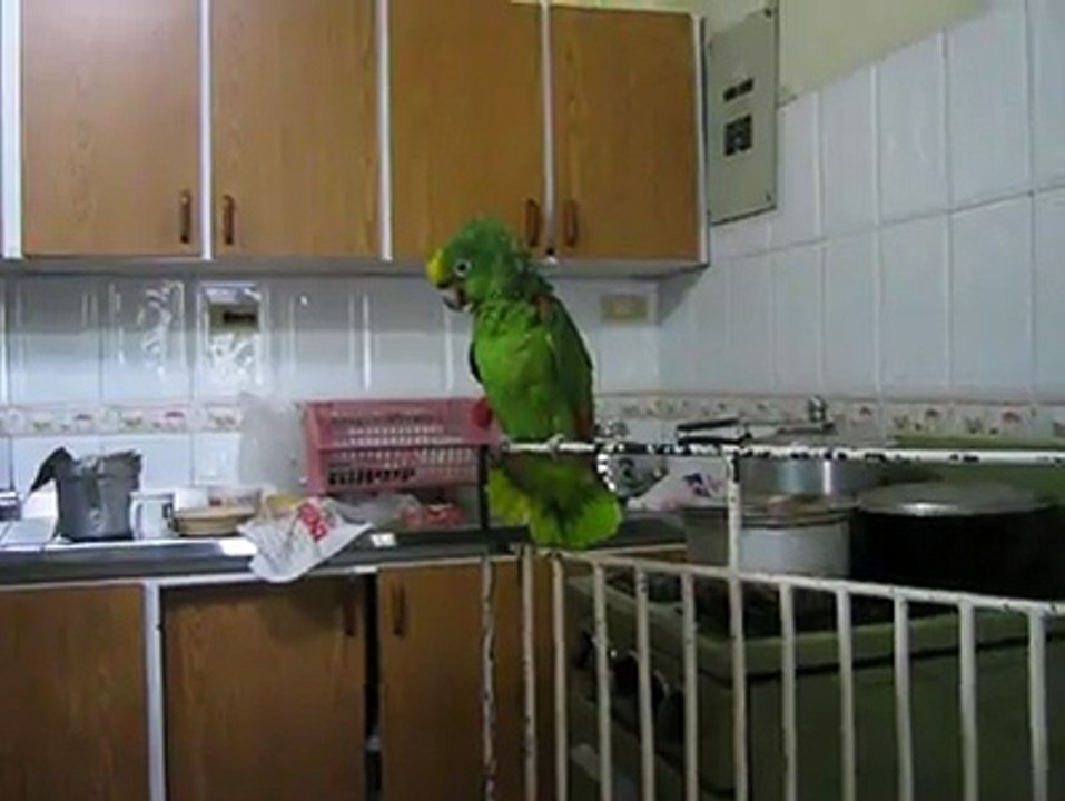 Lora cantando villancicos