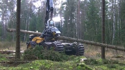 Une machine à couper des arbres