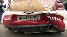 Compilation d'accidents de voiture en FIA World Rally Championship