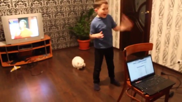 Котик обалдел от пения мальчика приколы хаха