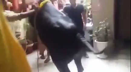 Black Angry Bull Jumping Before Qurbani 2015
