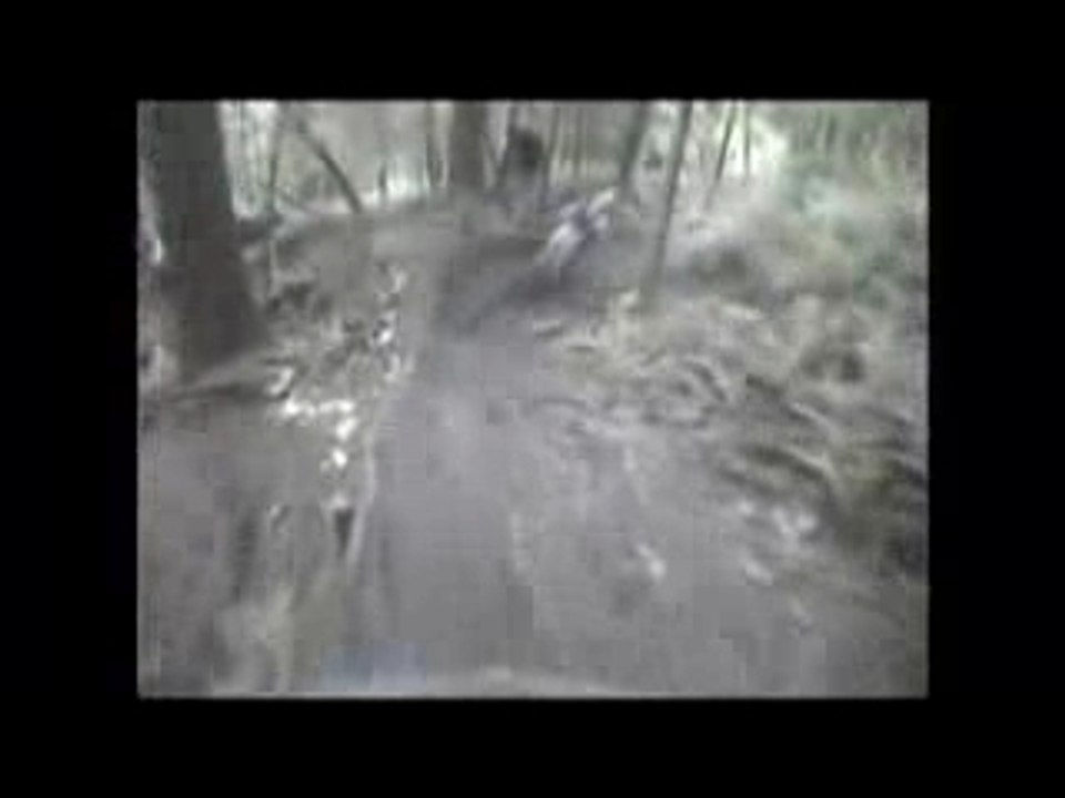 Descente en VTT