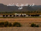 Surah al-Fil - Mishary Rashid al-afasy - Recite in Beautiful Voice