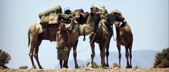 Tracks (Çöldeki İzler) - Trailer [HD] John Curran, Marion Nelson, Robyn Davidson, Mia Wasikowska, Adam Driver, Lily Pearl