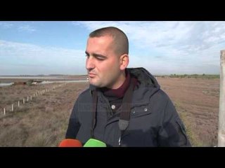 Divjakë, studiuesit promovojnë parkun e pasur natyror - Top Channel Albania - News - Lajme