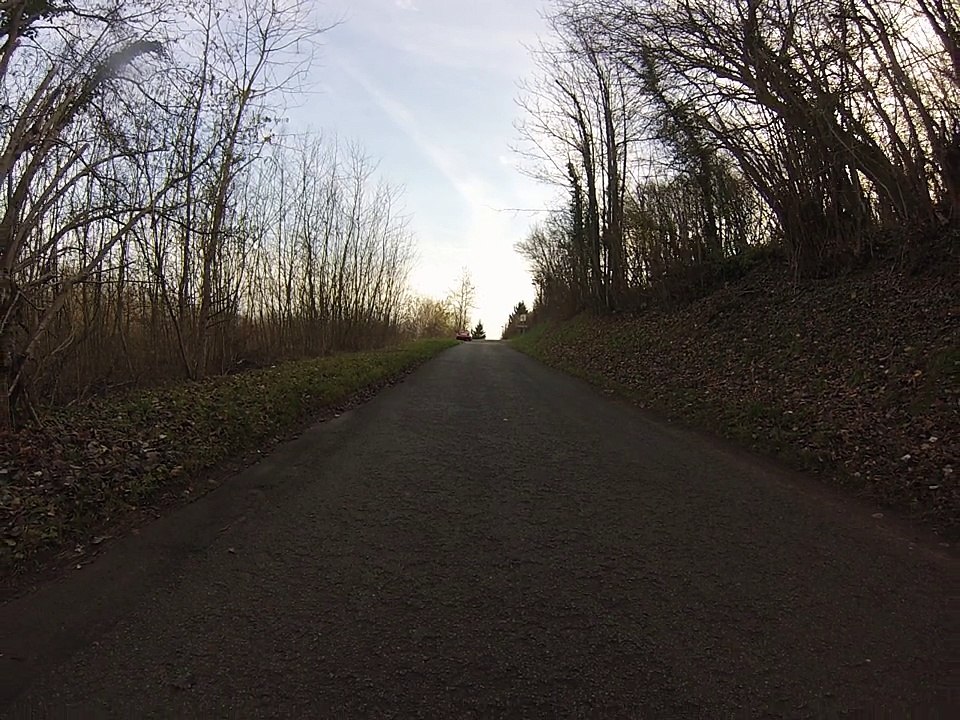 Bébé Chat suit son Pôpa