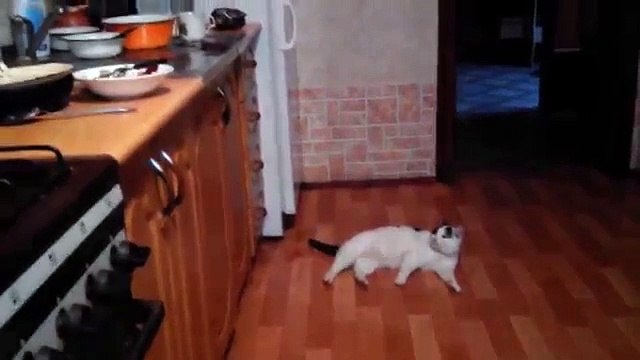 Ты не ты когда голоден