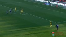 Josip Ilicic Amazing Goal - Fiorentina vs Chievo 2-0 (Serie A 2015)