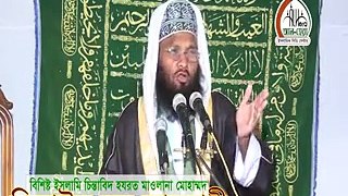 Bangla Waz Allama Jiaul Haq Ansari Aiub (A.)Er jiboni  Part-2