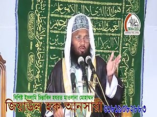 Bangla Waz Allama Jiaul Haq Ansari Aiub (A.)Er jiboni  Part-2