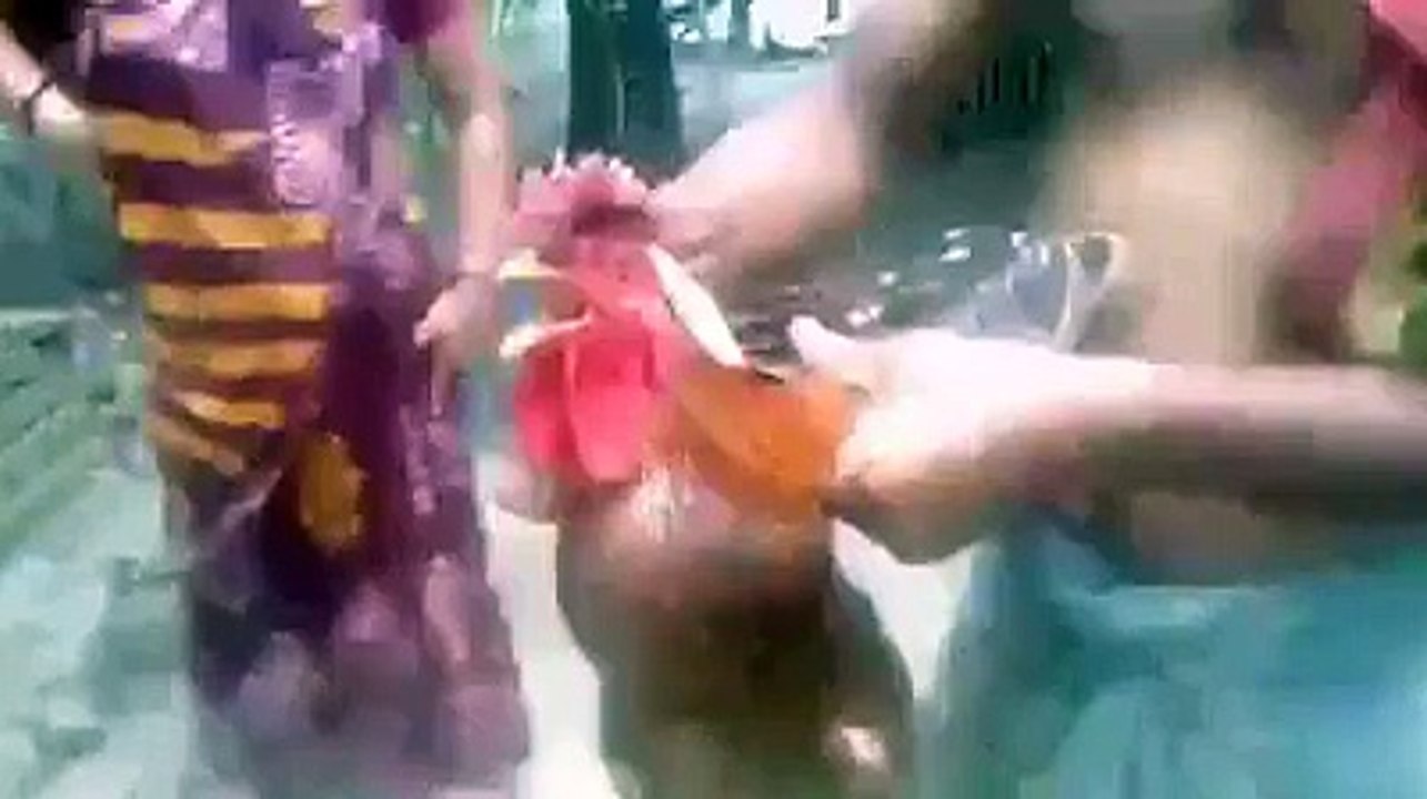 Amazing Rooster saying ALLAH