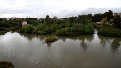 05 - Cordoba Puente Romano