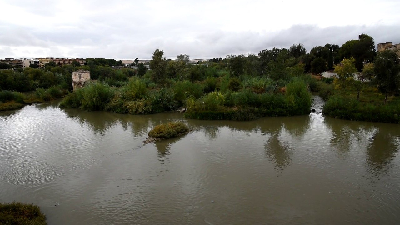 05 - Cordoba Puente Romano