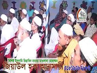 Bangla Waz Allama Ziaul Haq Ansari (Shohid 02) Part-1