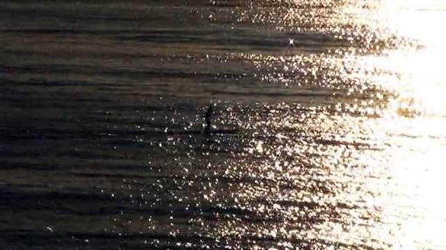 SUP Stand Up California . . . . . . . . Surfing