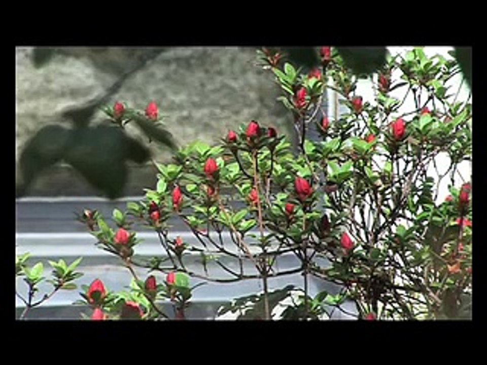 Cabinets de Radiologie - Clinique Convert | Imagerie Médicale Rhône Alpes / Ain