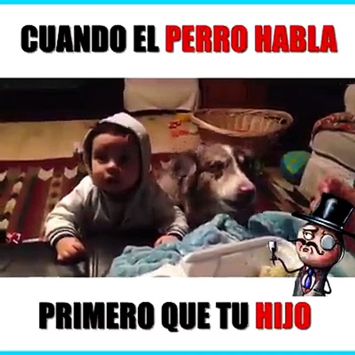 El perro habla antes que tu hijo