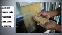 Alerta! Falso arroz de plástico é uma ameaça que se está a espalhar pelo mundo!