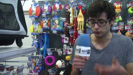 D!CI TV : Les animaux aussi ont droit à leurs cadeaux de Noël