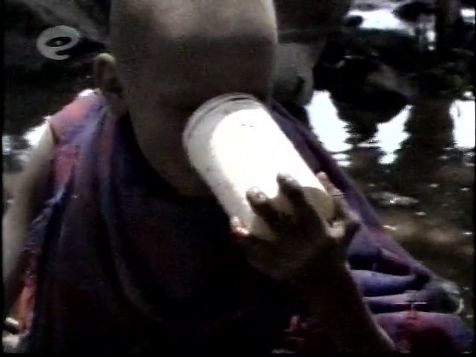 A Cratera de Ngorongoro Documentário de 30 minutos