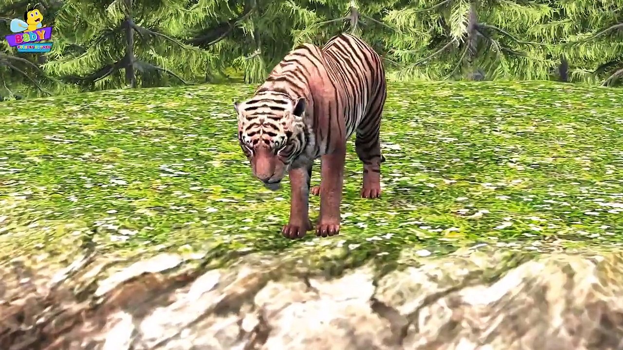 Finger Family 3D | Tiger Finger Family | Animal cartoons Finger Family Nursery Rhymes