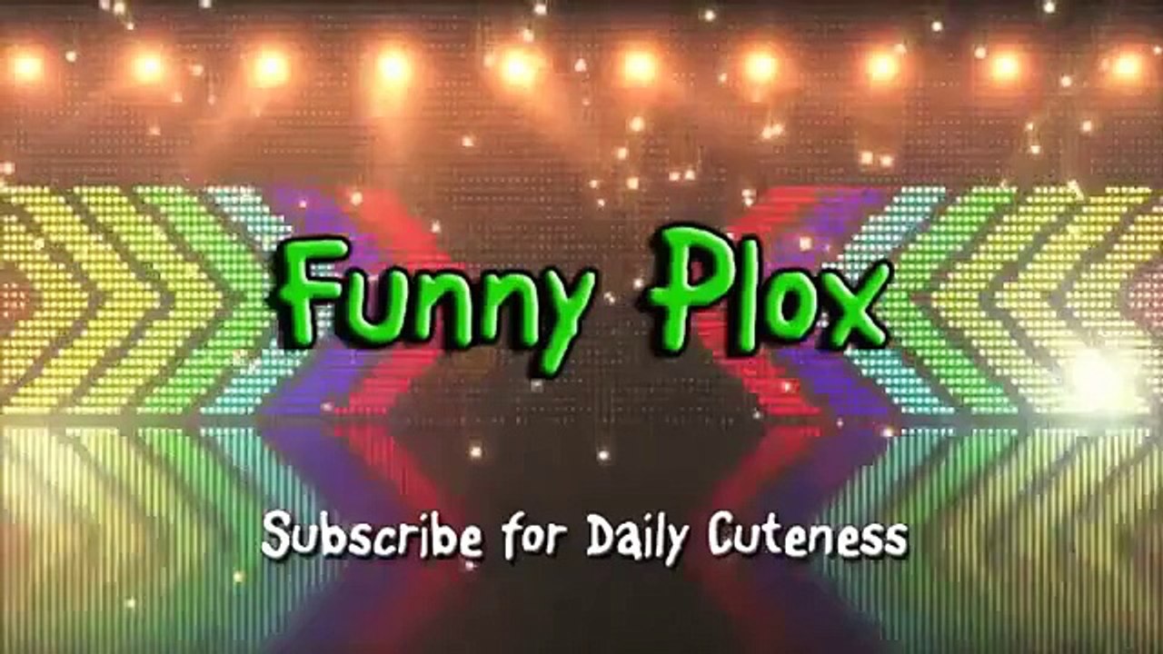 Top 10 Funny Baby Videos of 2015