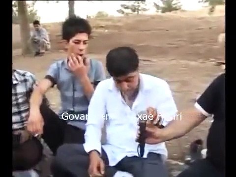 Faxir Hariri & Zana Omar 2012 Nwe