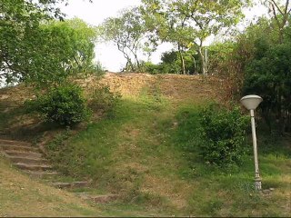 adil bin talat pakistan taekwondo champion high sprint