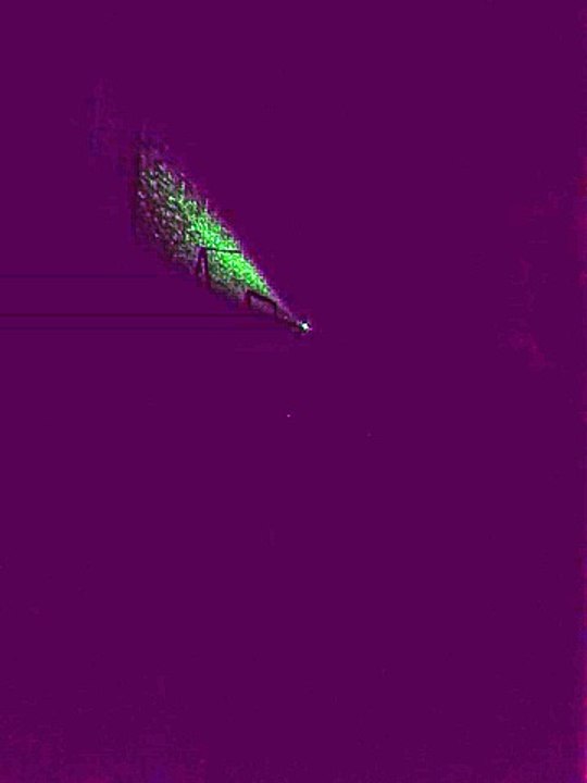UFO