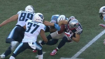 Patriots Danny Amendola fumbles on punt return, Titans recover
