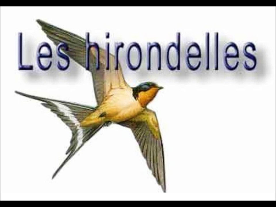 Luc Romann C'est joli les hirondelles HD