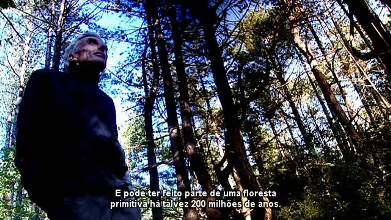 What we still don't know? part 2: Why are we here?