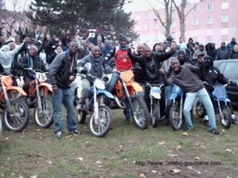 BECANES COURTILLIERES