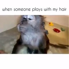 When someone plays with my hair