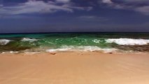 RELAX Waves Crashing on CARIBBEAN BEACH #3 Relaxing Ocean Nature Sounds for Studying No Mu