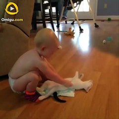 Sweet Animals and Babies