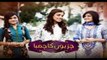 Chirryon Ka Chamba Episode 55 Full HUMSITARAY TV Drama 10 July 2015