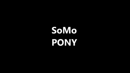 Ginuwine Pony (Rendition) by SoMo