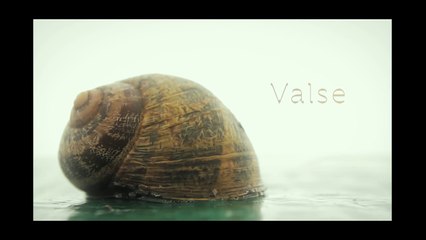 Valse by Chris Keller (2013)