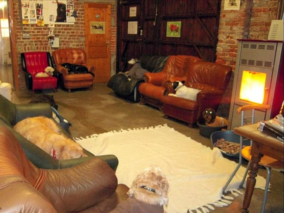 Refuge "ASBL LES PETITS VIEUX"