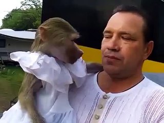 Monkey and Guy Screaming FUNNY