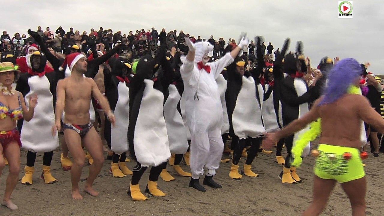 Rhuys   |   La Baignade des Otaries 2015 - Bretagne Télé