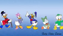 New Duck Nursery Rhymes Cartoon Donald Duck Disney Finger Family Mickey Mouse Song for Kids