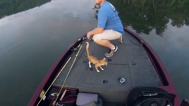 Приехали за рыбой, а уехали с котятами! Смотри до конца