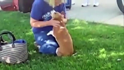 Только собаки могут так радоваться человеку