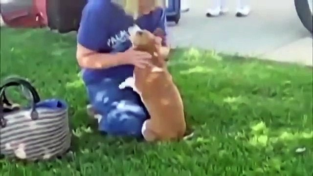 Только собаки могут так радоваться человеку