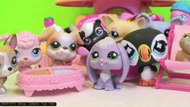 Toy (Interest) Frozen Elsa Hans Kristoff Dolls Play Doh Cupcakes MLP LPS Disney Clubhouse New Toys